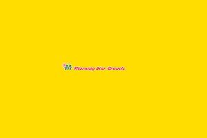 morning-star-travels-coupon-promo-code