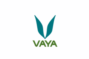 vaya-coupon-promo-code